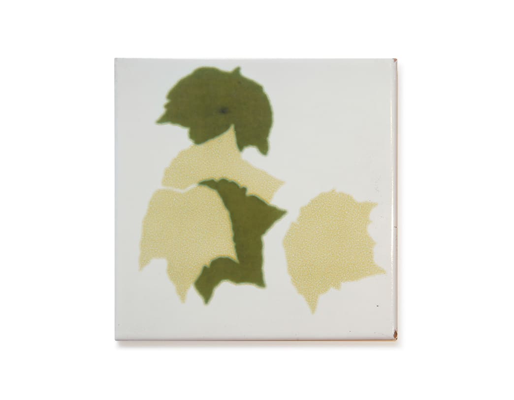 5-leaves【A】