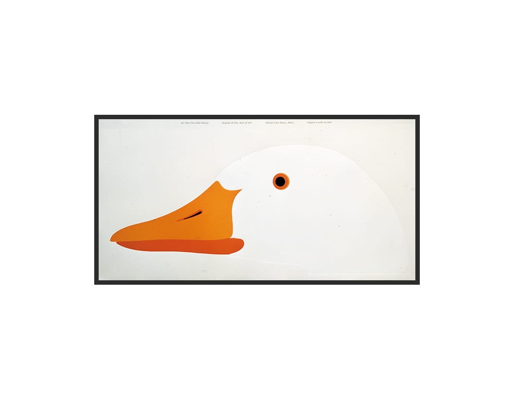 OTTO,L’OCA / SERIE DELLA NATURA