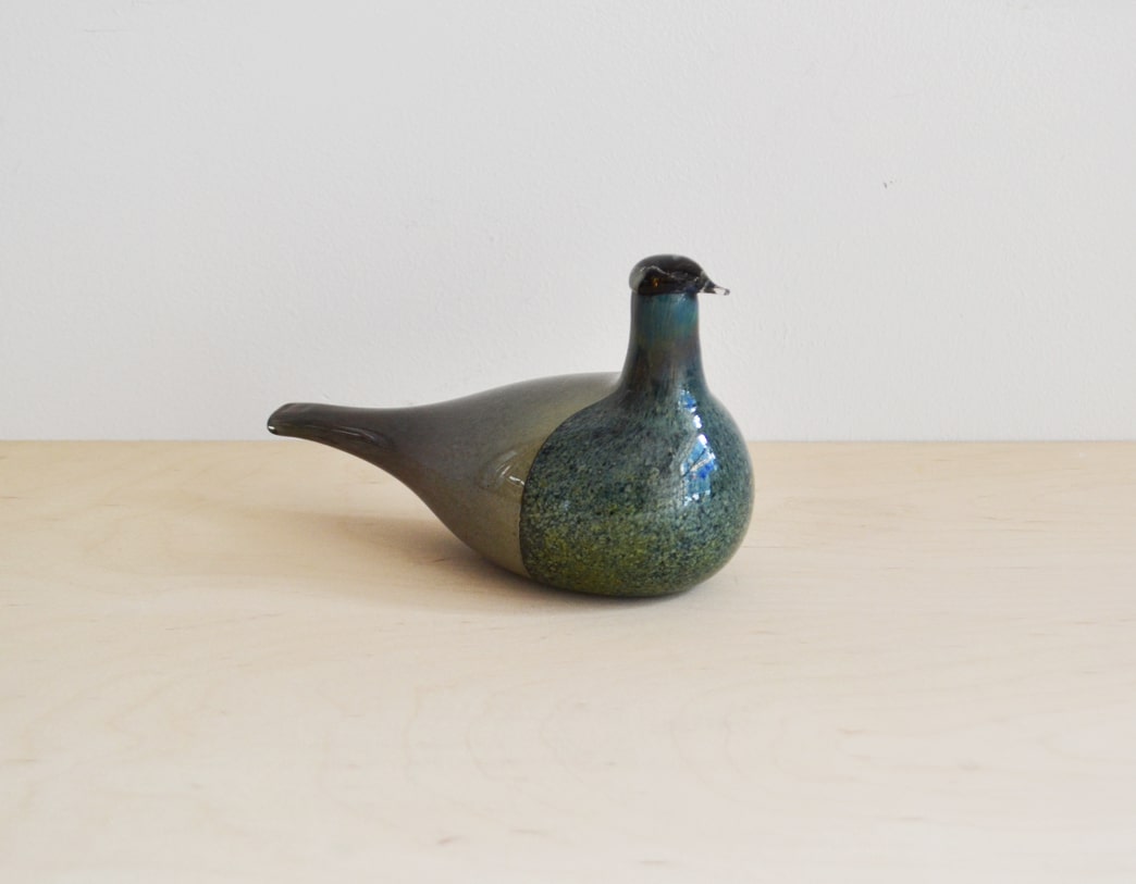 Bird Sipi [Snipe]