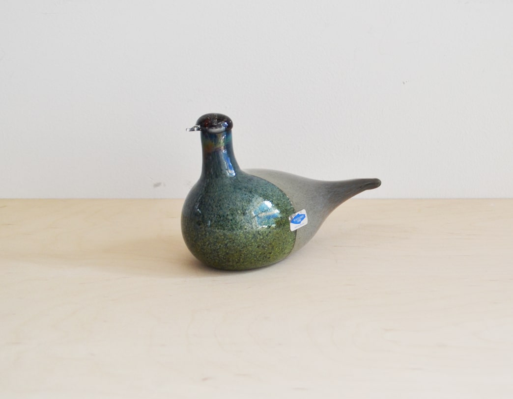 Bird Sipi [Snipe]