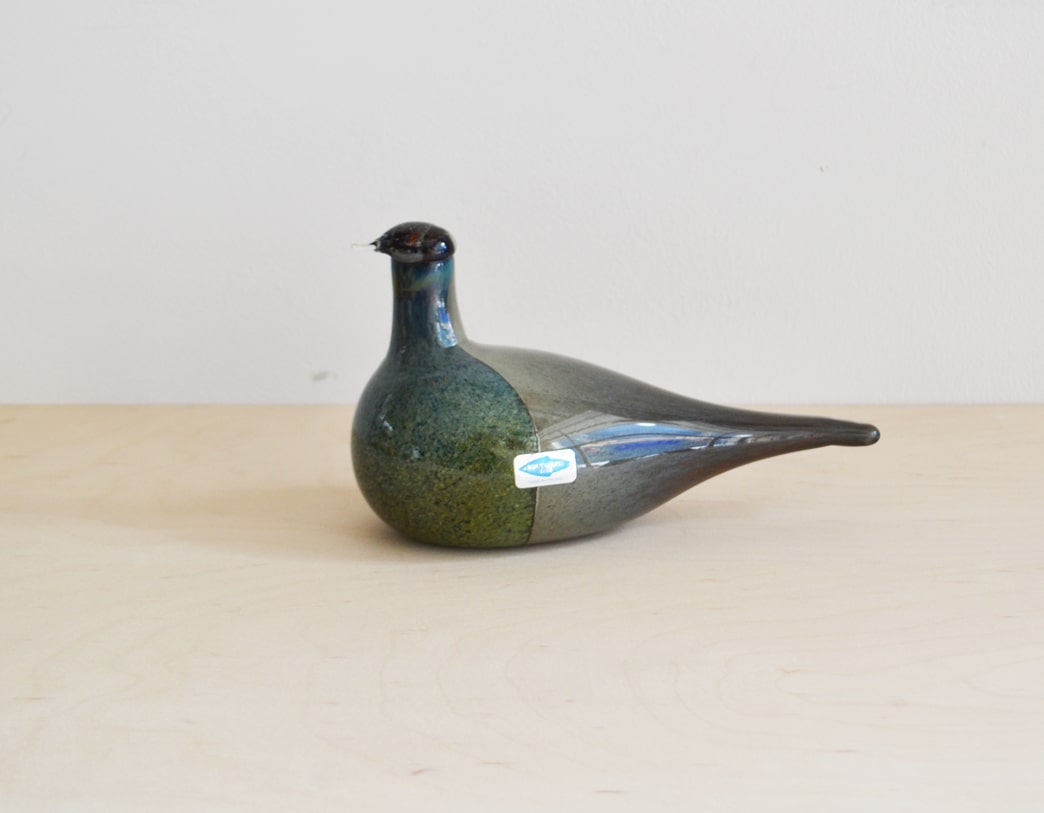 Bird Sipi [Snipe]
