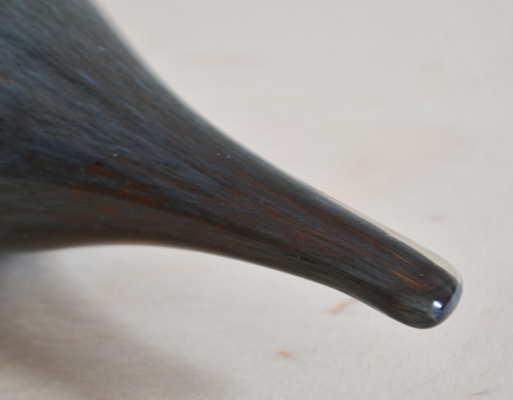 Bird Sipi [Snipe]