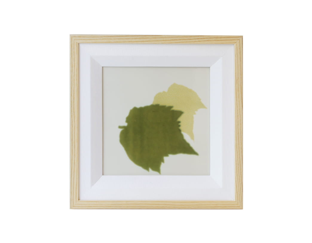 Capodimonte -Foglie Vintage Tile [Green] フレームセット / Gio Ponti