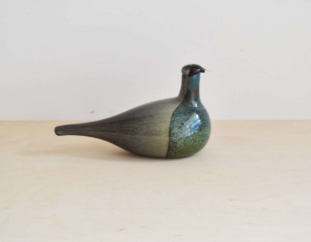 Bird Sipi [Snipe]