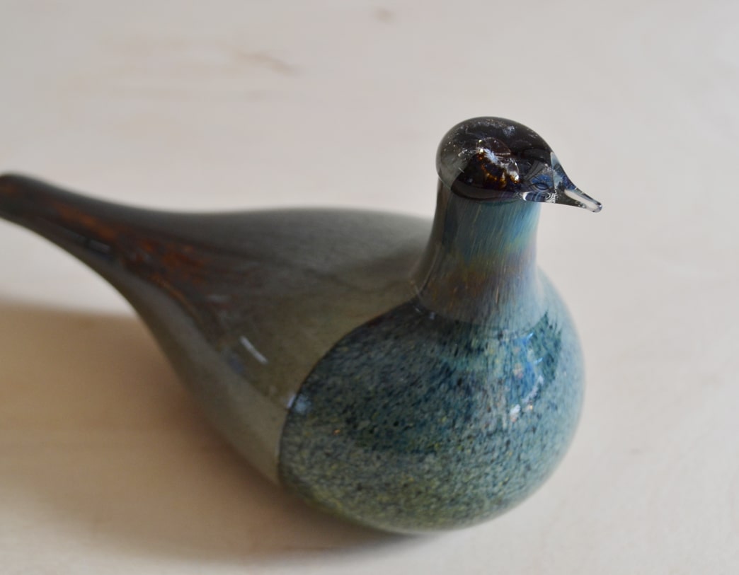 Bird Sipi [Snipe]