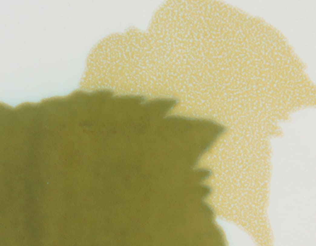 Capodimonte -Foglie Vintage Tile [Green] / Gio Ponti